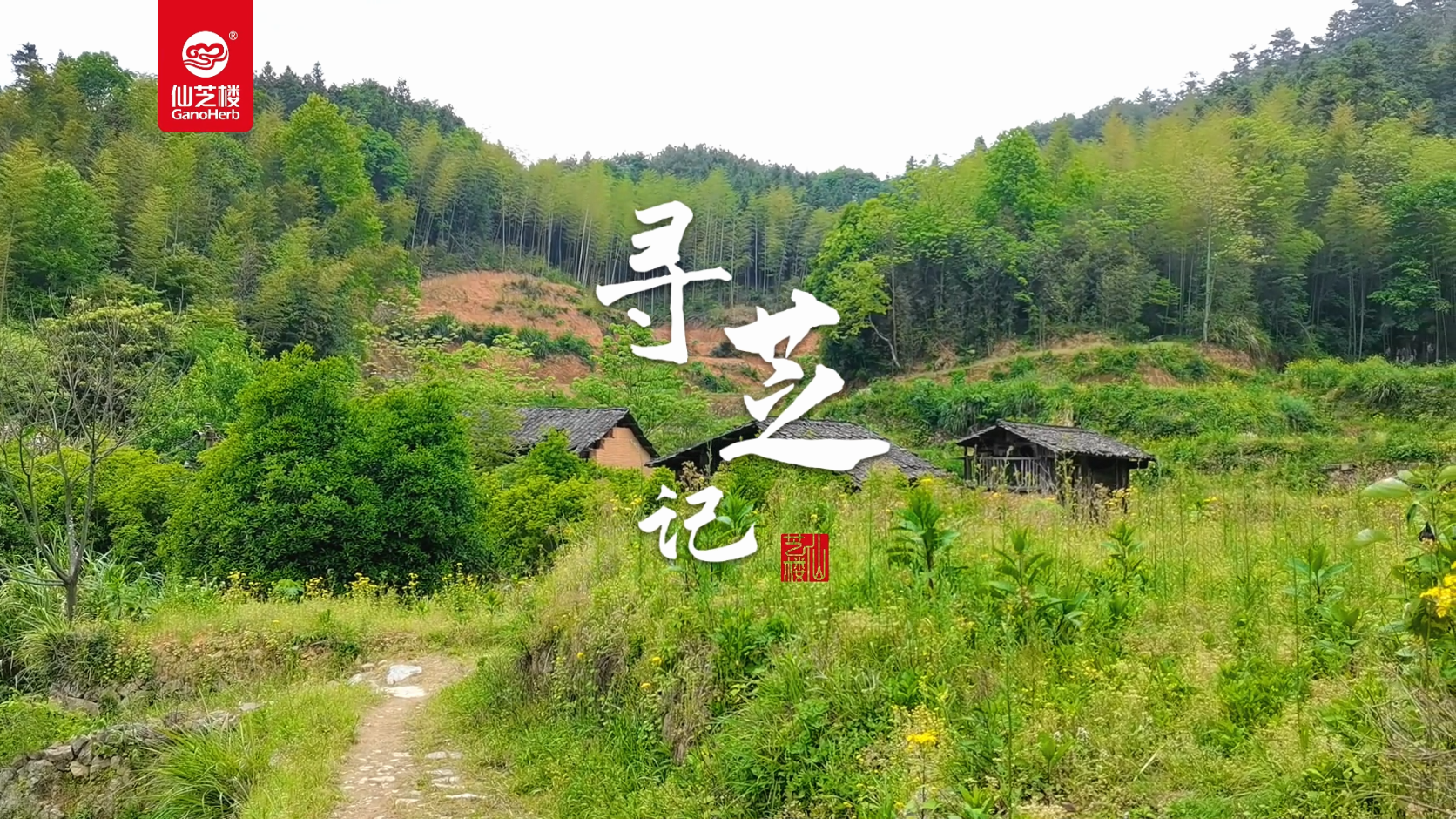 寻芝记-运菌棒